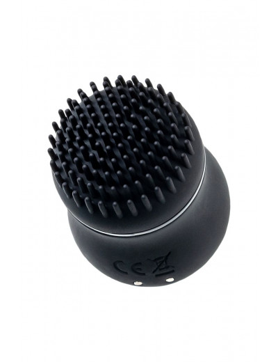 Черный стимулятор клитора PPP CURU-CURU BRUSH ROTER