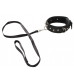 Черный ошейник Collar and Leash с поводком
