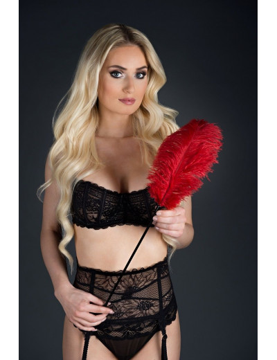Стек с большим красным пером Large Feather Tickler - 65 см.